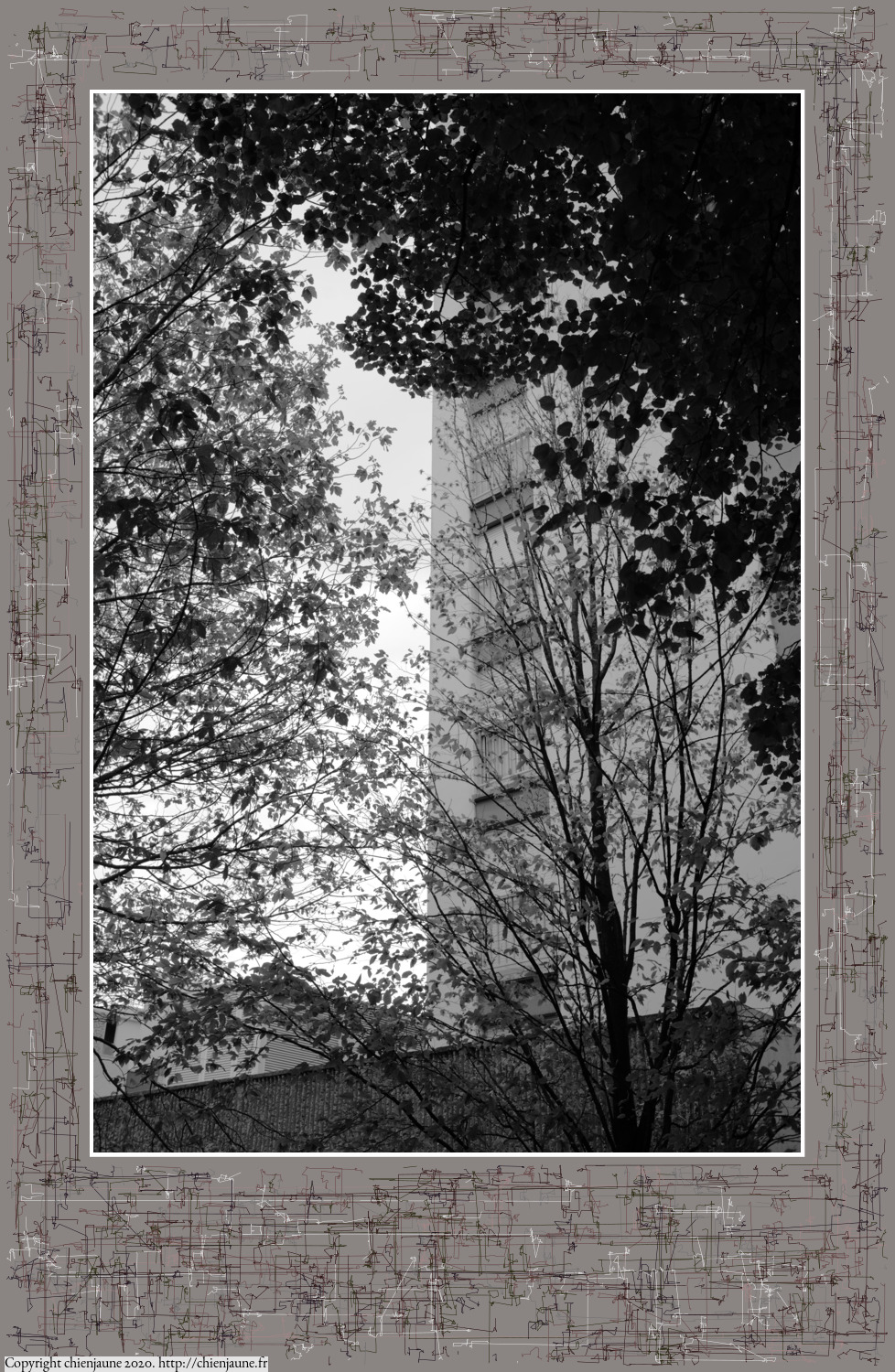one of the arbres 2020 thumbnail series