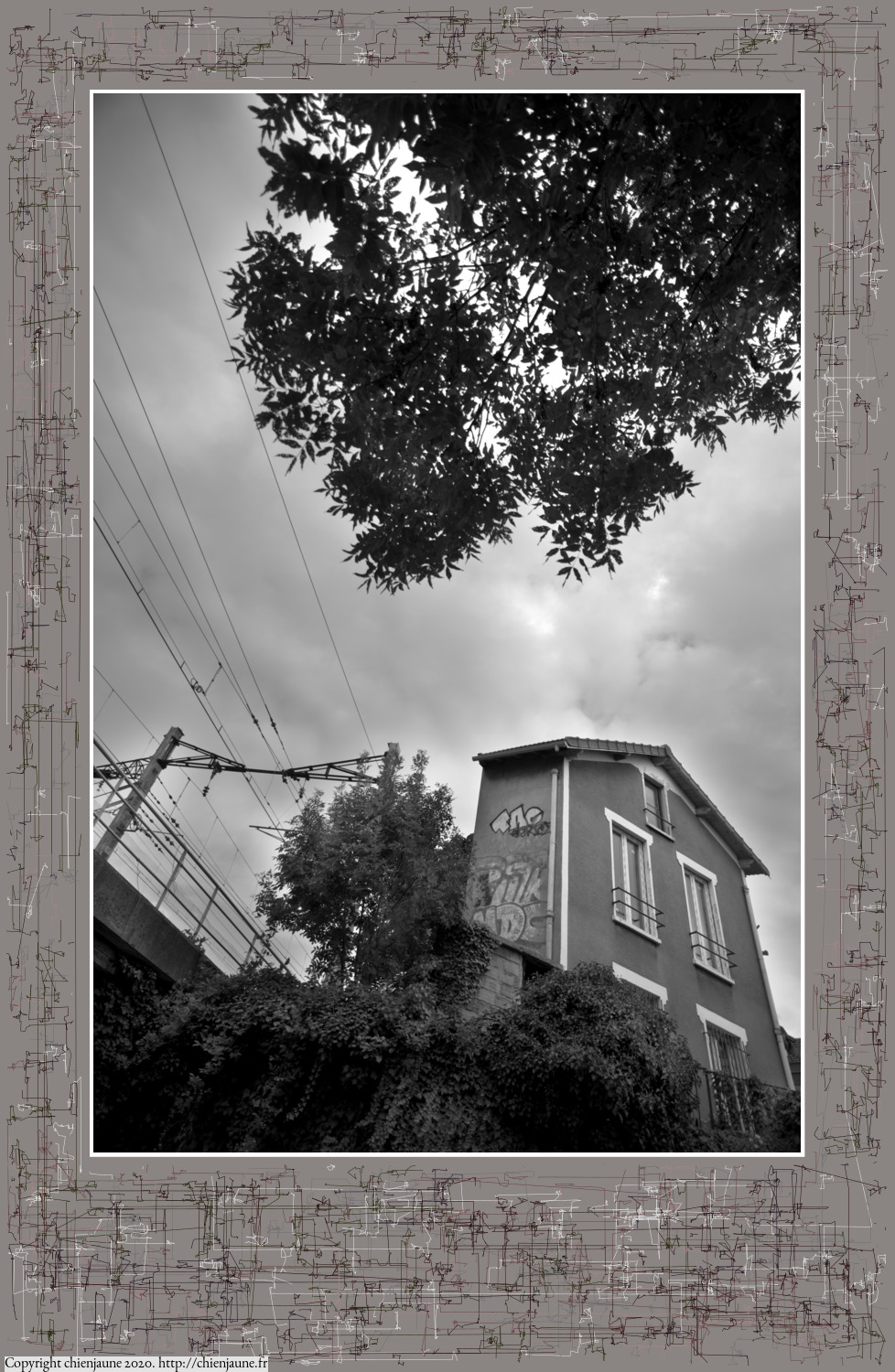 one of the arbres 2020 thumbnail series