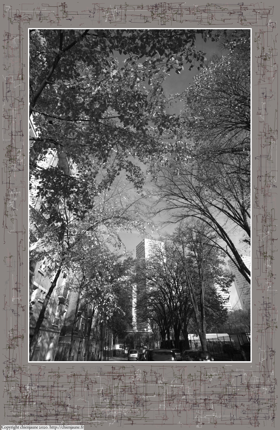 one of the arbres 2020 thumbnail series