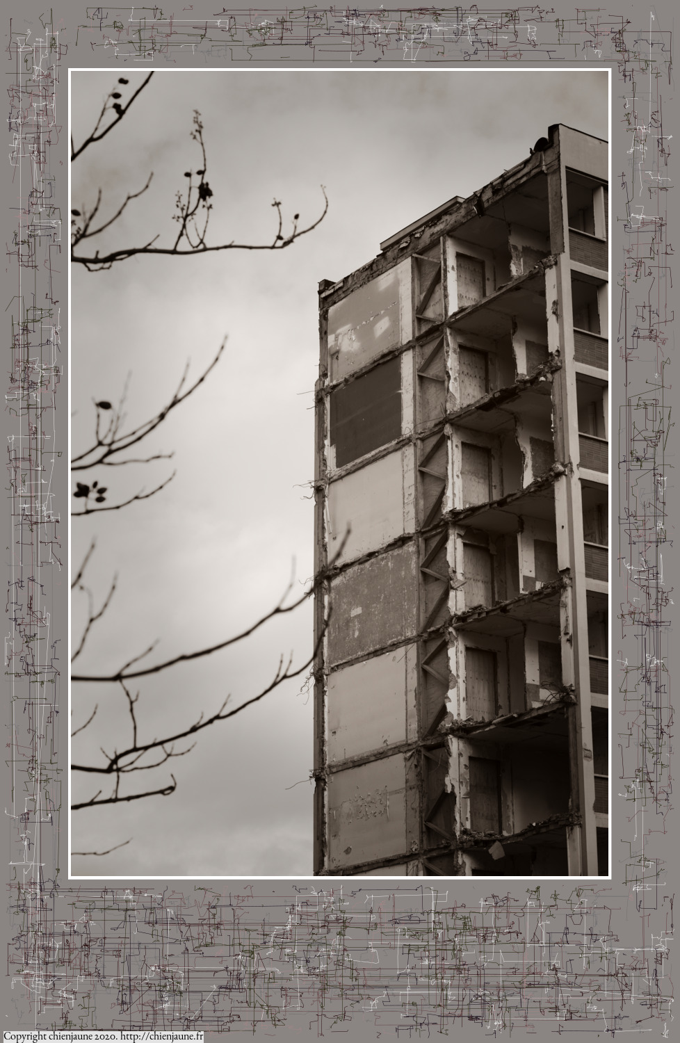 one of the arbres 2020 thumbnail series
