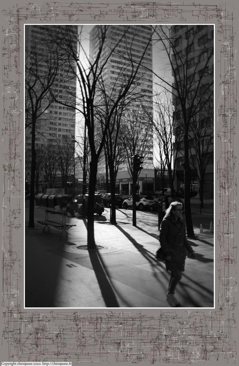 one of the arbres 2020 thumbnail series
