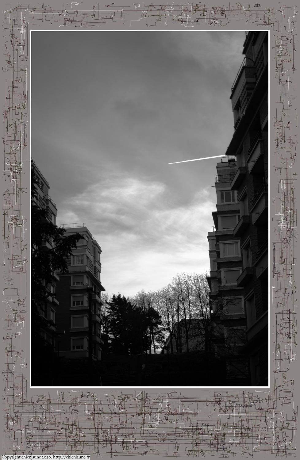 one of the arbres 2020 thumbnail series