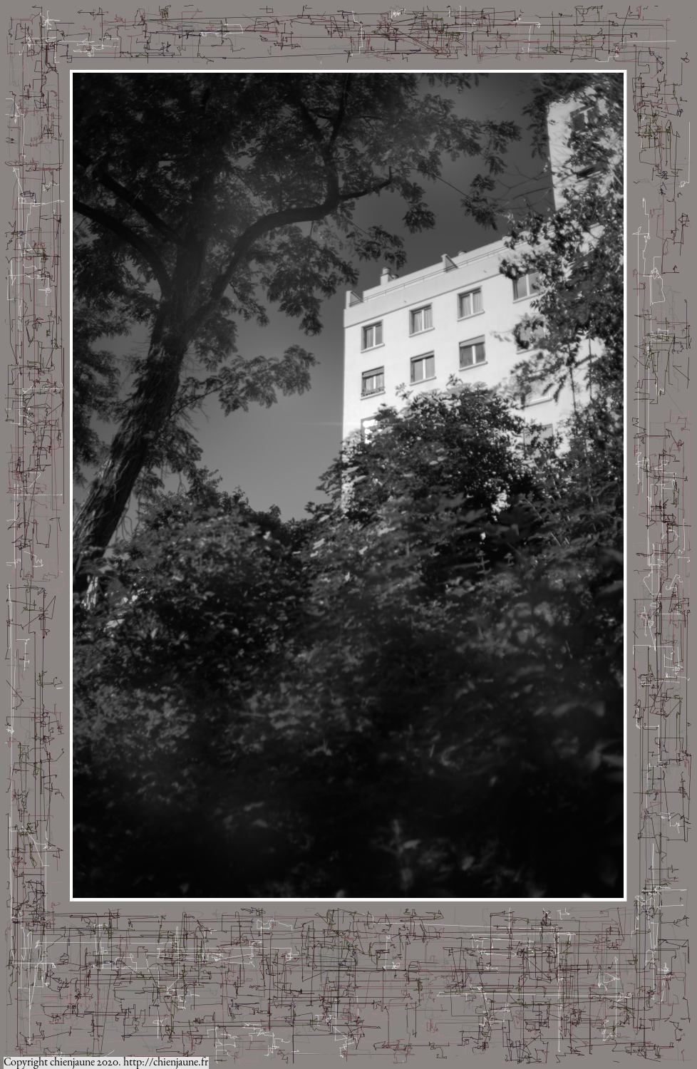 one of the arbres 2020 thumbnail series