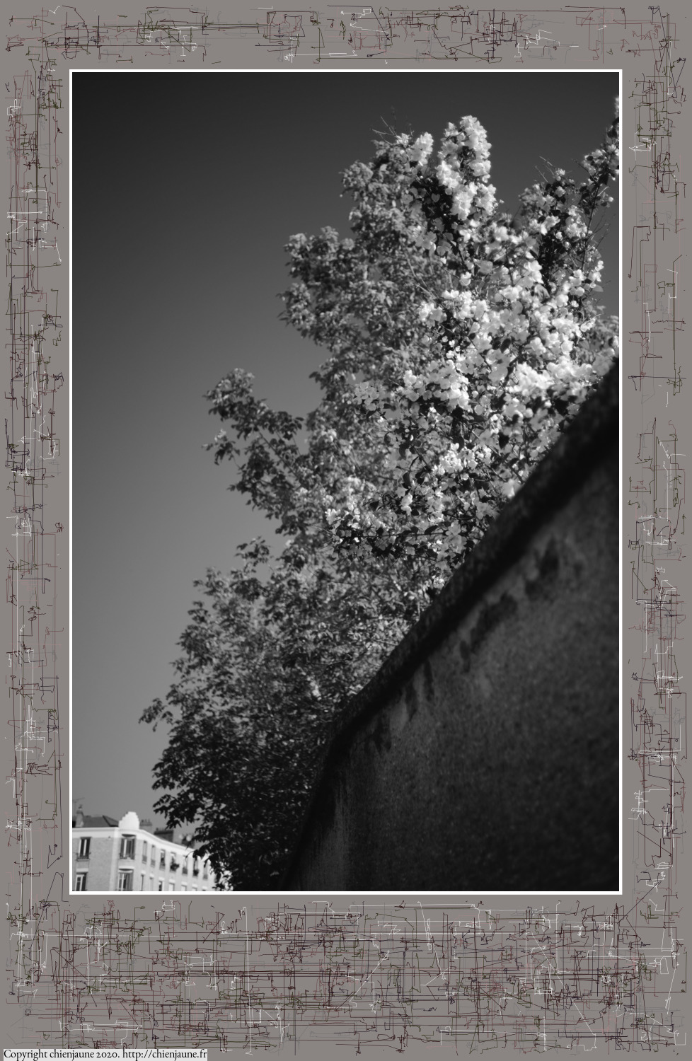 one of the arbres 2020 thumbnail series