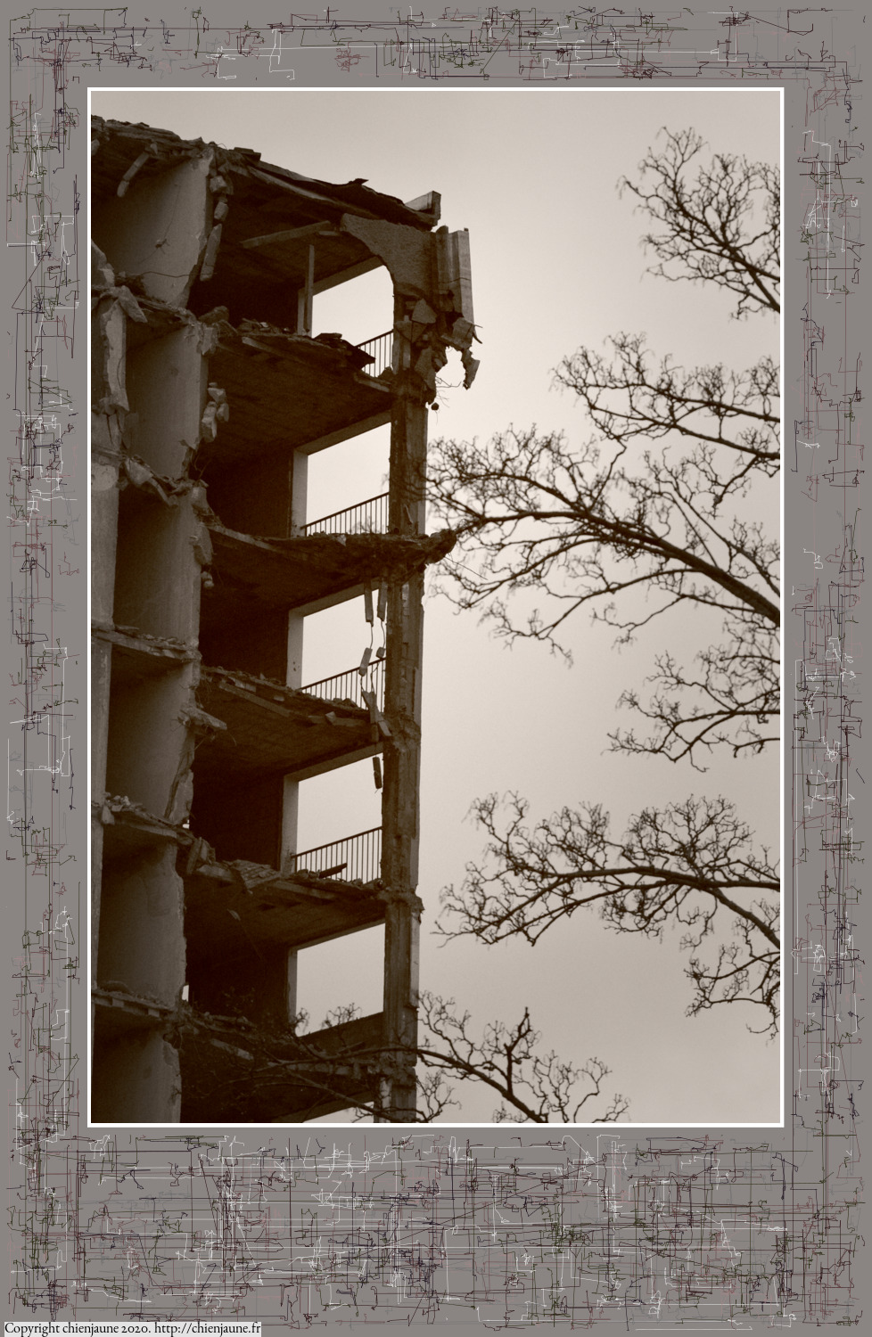 one of the arbres 2020 thumbnail series