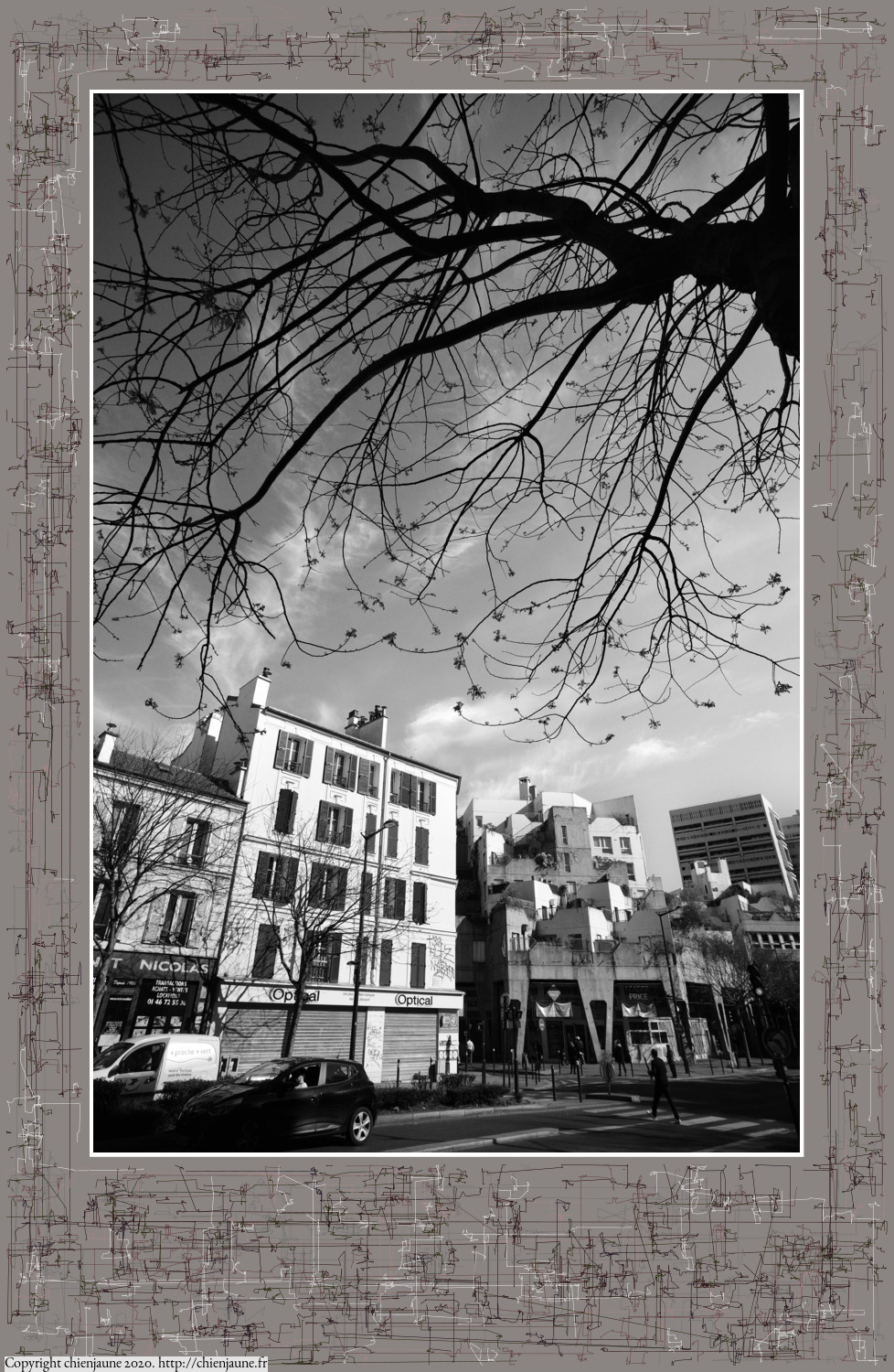 one of the arbres 2020 thumbnail series