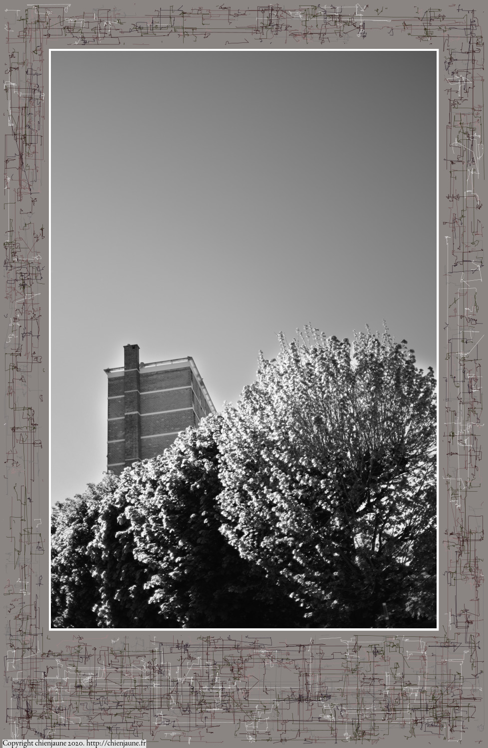 one of the arbres 2020 thumbnail series