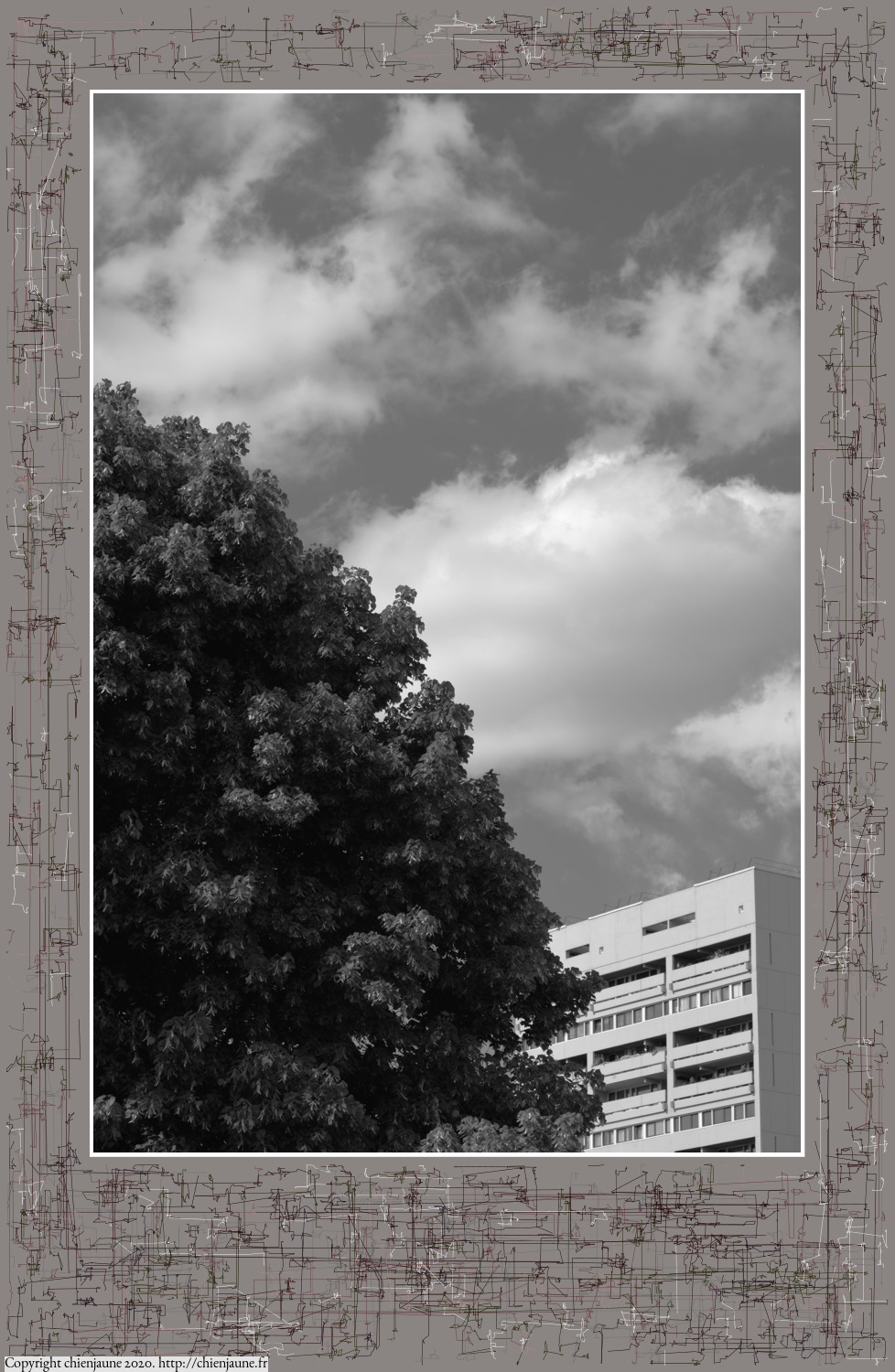 one of the arbres 2020 thumbnail series