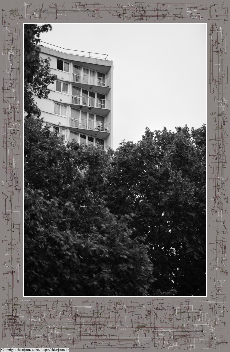 one of the arbres 2020 thumbnail series
